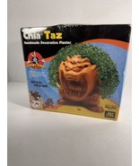 Chia Pet Looney Tunes TAZ  Handmade Decorative Planter New Sealed Tasman... - $14.46