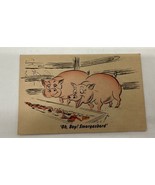 Bob’s Steak House Postcard San Francisco 50s 60s Comic Pigs Advertisement - €4,35 EUR