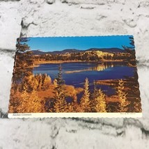 Vintage Alaska Joe Postcard Beautiful Fall Foliage Scenic Scalloped Unposted - £6.17 GBP