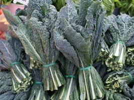 Black Lacinato Dinosaur Kale Seeds 400 Seeds Fresh Seeds Fast Shipping - $13.08