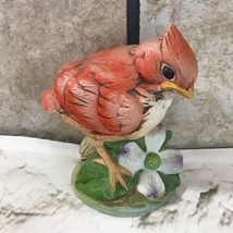 Baby Cardinal Figurine Andrea by Sadek 6350 Porcelain Bird on Dogwood Japan VTG - £23.72 GBP