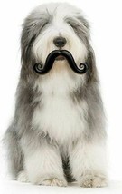 HUMUNGA STACHE RUBBER PET DOG TOY FETCH BALL S, M, L Size NEW! - £9.87 GBP+