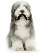 HUMUNGA STACHE RUBBER PET DOG TOY FETCH BALL S, M, L Size NEW! - £10.06 GBP+