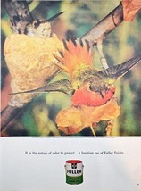 Fuller Paint Male Hummingbird Bright Colors Protects-1963 Vintage Print Ad - $200.86 MXN