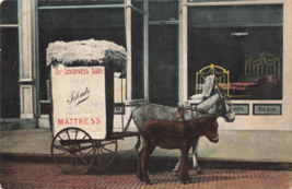 Donkey Wagon Advertising Schmitz Mattresses Lancaster to Stevens PA Postcard N48 - £5.59 GBP