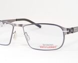 REGSONN 2204 72 Grey UNIQUE RARE EYEGLASSES GLASSES ANTIALLERGIC 54-17/2... - $165.32
