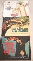 Calvin and Hobbes Softcover Large Size Lot of 3 Bill Watterson Includes 10th Ann - £16.03 GBP