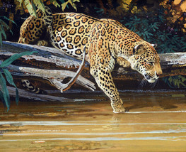 Leopard Jaguar Cat Tiger Print Wildlife Ceramic Tile Mural Medallion Backsplash - £71.60 GBP+