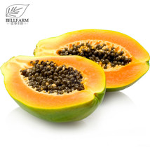 New Fresh 6Pcs Hainan Yellow Skin Yellow Inside Papaya Fruits Seeds Pawpaw Sweet - £3.11 GBP