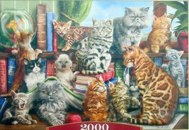 Castorland House of Cats 2000 pc Jigsaw Puzzle Kittens Library - £26.31 GBP