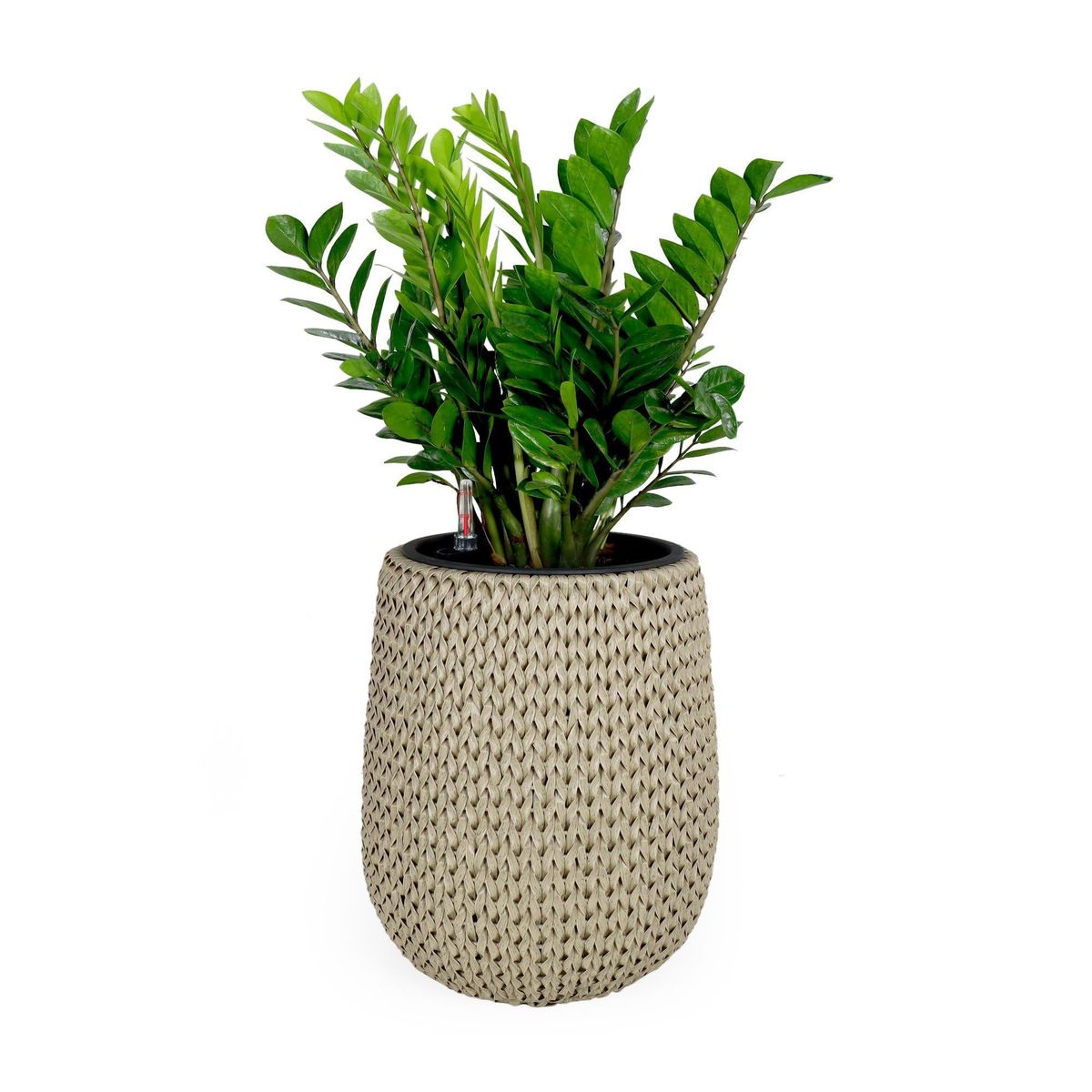 Catleza 17.3&quot; Self-Watering Wicker Planter - Garden Decoration Pot - Bei... - $129.64