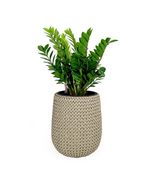 Catleza 17.3&quot; Self-Watering Wicker Planter - Garden Decoration Pot - Bei... - $2,378.13 MXN