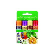 Badger Organic Lip Balm 4 Sticks Gift Set Green Pack  - $60.00