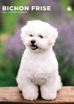 Bichon Frise Calendar 2026 - £12.78 GBP