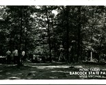 RPPC Picnic Tavoli Babcock Stato Park / Collina West Virginia Wv Unp Pos... - $11.23