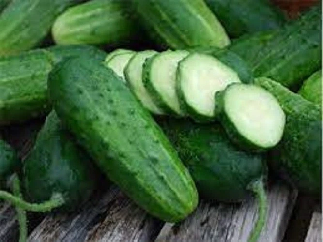Vibrant Premium Boston Pickling Cucumber Fresh Heirloom Seeds - $3.09
