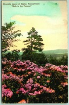 Mountain Laurel At Skytop Poconos PA Hand-Colored Alberytpe UNP Postcard C14 - £3.07 GBP