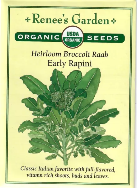 Broccoli Raab Early Rapini Organic Vegetable Seed Renee&#39;S 12/24 Fresh New - $13.90