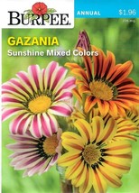 GIB Gazania Sunshine Mixed Colors Flower Seeds Burpee  - £7.99 GBP