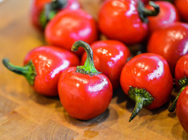 40 Seeds Red Cherry Bomb Chile/Pimento Pepper  - $6.00