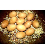 SET OF FORTY EIGHT (48) BRAND NEW UNFINISHED WOODEN EGGS 2 1/2&quot; X 1 3/4&quot; - $101.48 CAD