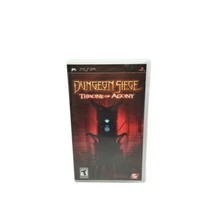 Dungeon Siege: Throne of Agony (Sony PSP, 2006)  - $9.40
