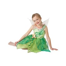 Disney Fairies Tinkerbell Costume (Small, 3-4 years)  - $46.00