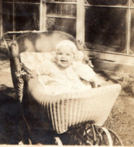 Happy Baby In Stroller Antique Photograph Found Photo Vintage - £12.59 GBP