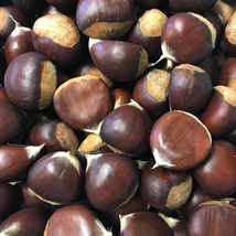 Chestnuts - Fresh in the Shell - 2 Pounds 32 Ounces - £37.49 GBP