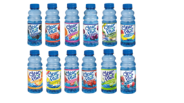 12 Pk Clear Fruit Water 20 Oz Bottles Non Carbonated Water 12 Flavor Sampler - £35.87 GBP