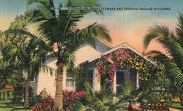 Bungalow in Florida Unposted Linen Postcard Tropical Foliage Flowers Trees - £7.82 GBP