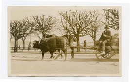 Horse and an Ox Pulling a Wagon in Lucerne Switzerland 1930&#39;s - £37.98 GBP