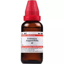 Willmar Schwabe India Echinacea Angustifolia 1X (Q) (30ml) - £8.67 GBP