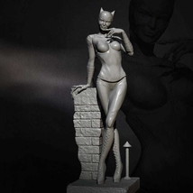 1/6 370mm 3D Print Superhero Model Kit Catwoman Beautiful Girl Unpainted - £84.93 GBP