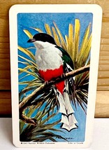 Vintage Tropical Bird Trading Card Cuban Trogon 1963 S6N19 Brooke Bond T... - $366.80 MXN