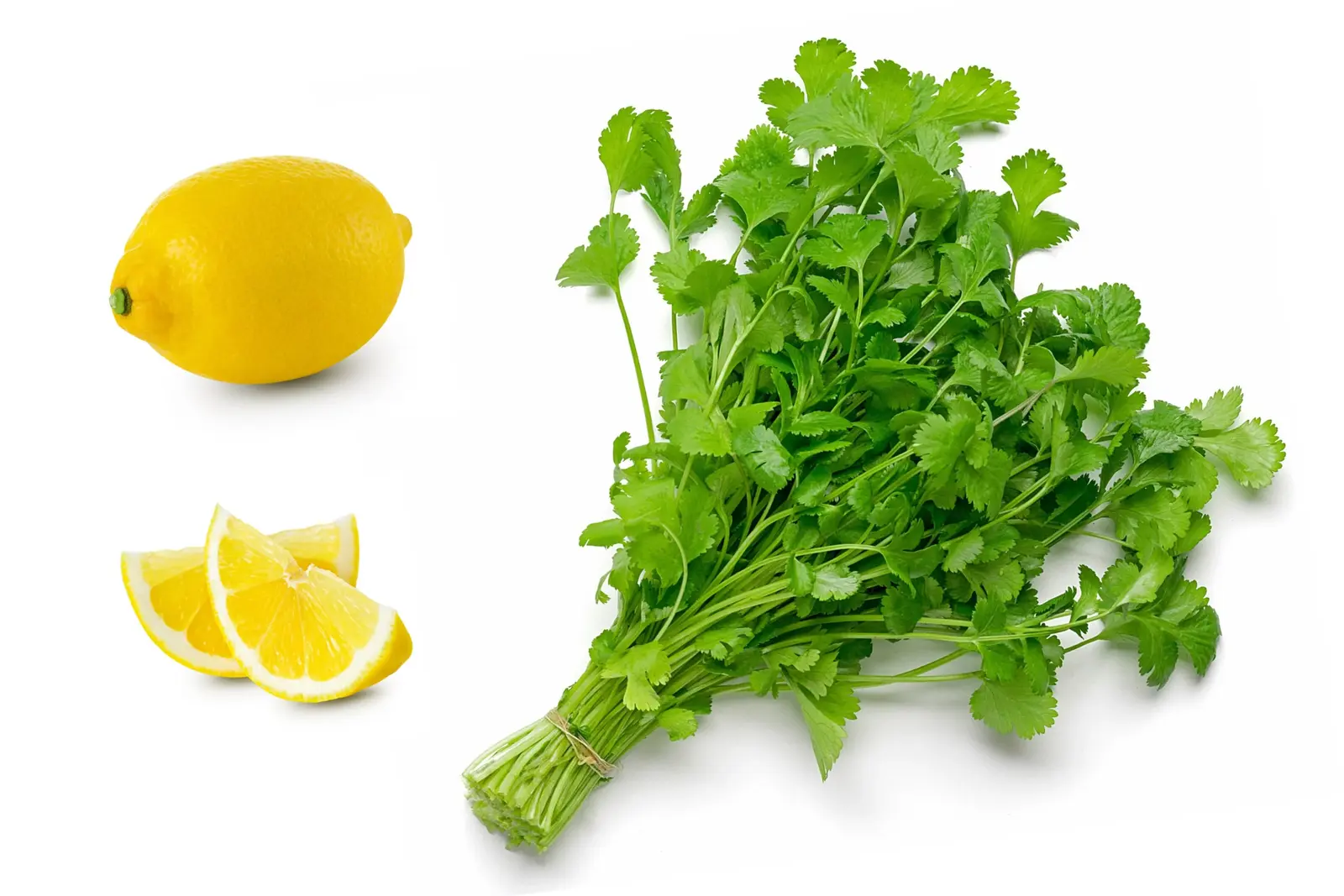 Fresh New 25 Organic Dwarf Lemon Cilantro Coriander Spice Coriandrum Sativum Her - $15.00