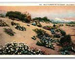 Wild Flowers in the Desert California CA UNP WB Postcard H23 - $2.92