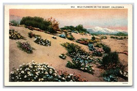 Wild Flowers in the Desert California CA UNP WB Postcard H23 - £2.30 GBP