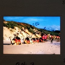 Camel Convoy Caravan Taking A Break At Desert Oasis VTG 35mm Found Slide Photo - £7.99 GBP