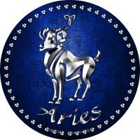 Aries Novelty Circle Coaster Set of 4 - $19.95