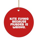 Useful Kite Flying Circle Ornament, Kite Flying Because Murder is Wrong.... - $316.82 MXN