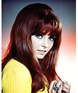 Beyond the Valley of the Dolls Dolly Read stunning portrait pin up 11x14... - $24.59 CAD