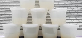 Plant Media Culturing Gel Cups Pre-Sterilized Ready To Use Product ( Sko... - £16.65 GBP