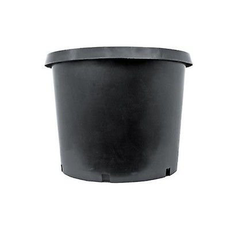 10-Pack Thermoformed Nursery Pot 3 Gallon - $104.84