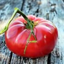 Brandywine Pink Tomato Seeds - Tomato seeds - Non GMO - USA Grown 200 Seeds - £10.18 GBP
