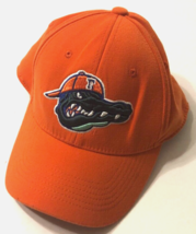 $12 Florida Gators Mad Albert Orange Stitch NCAA Hat Cap Stretch Fit One... - $7.83