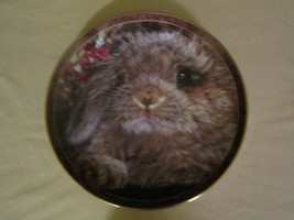 Bunny Rabbit Collector Plate Vivi Crandall &quot;Munchkin&quot; Bunny Tales #5 - £20.08 GBP