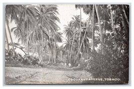 Cocoanut Avenue Street View Couva-Tabaquite-Talparo Tobago BWI UDB Postcard P18 - £26.57 GBP