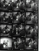 LOST IN SPACE TYBO CARROT MAN &amp; CONTACT SHEET VEGETABLE REBELLION  SET OF 2 - $10.00