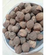 Kemiri kering bercangkang (Dried Kukui nut in shell) 250 grams - $33.71